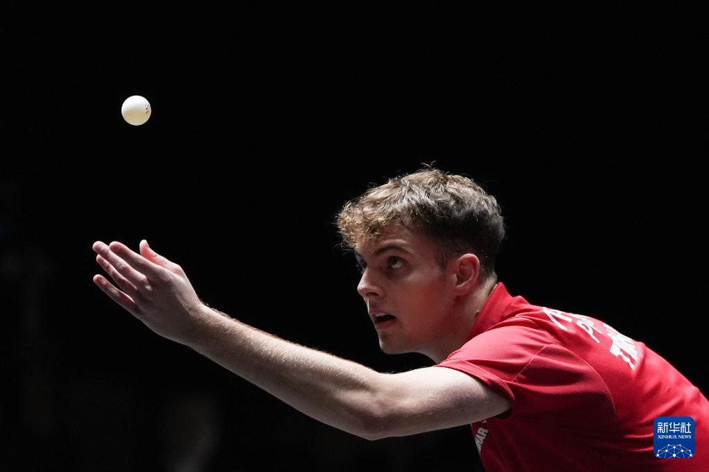 你比神龟多 你比神龟多