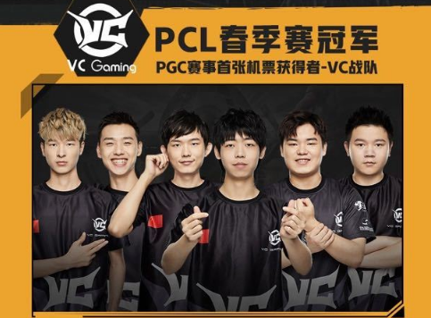 借鑑的一種 借鑑的一種