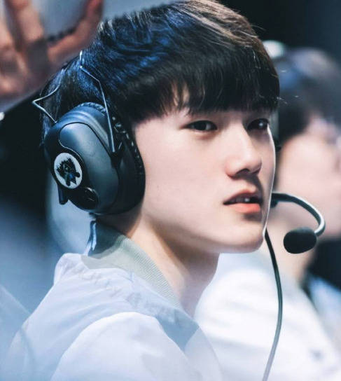 的多个选择 的多个选择