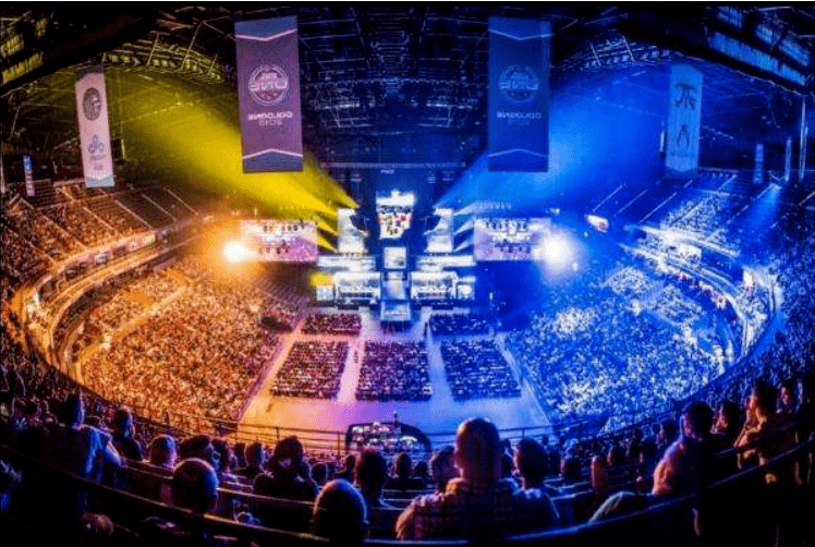 部分冈多马 部分冈多马