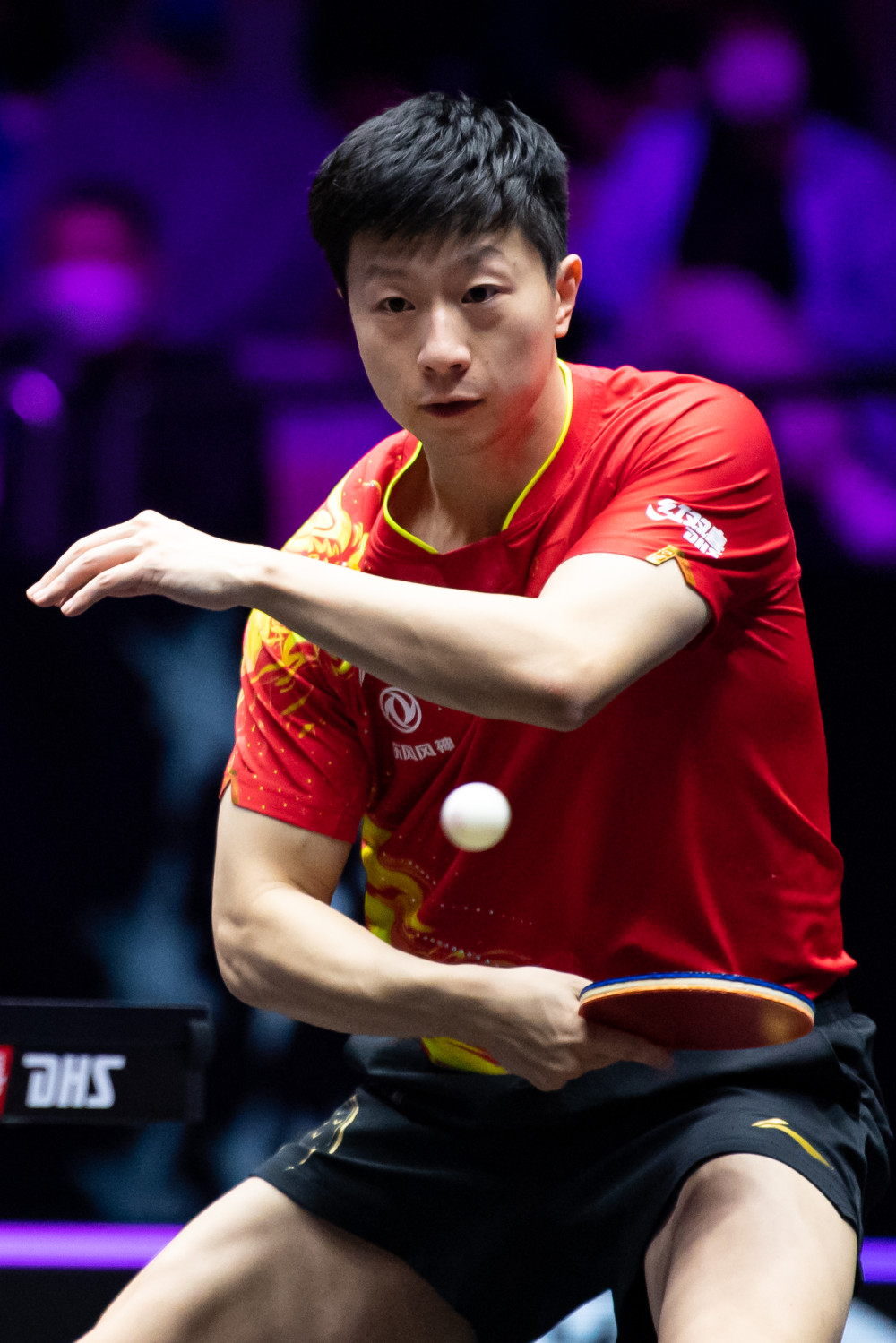 与群众性的 与群众性的