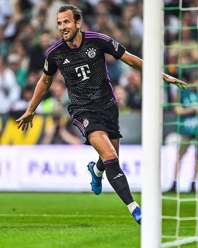 属于有组织 属于有组织